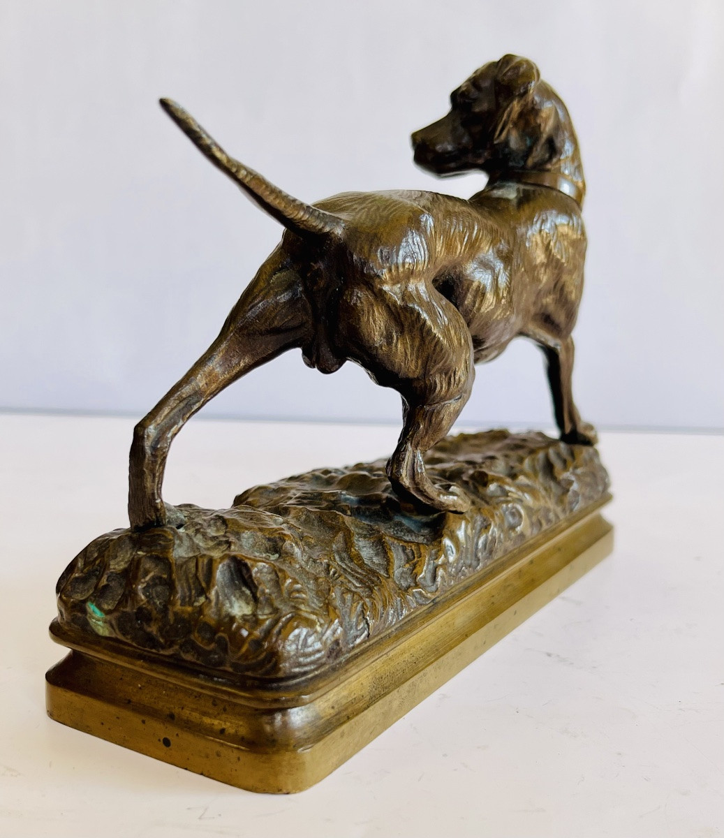 Hunting Dog On Point D.motte -photo-2